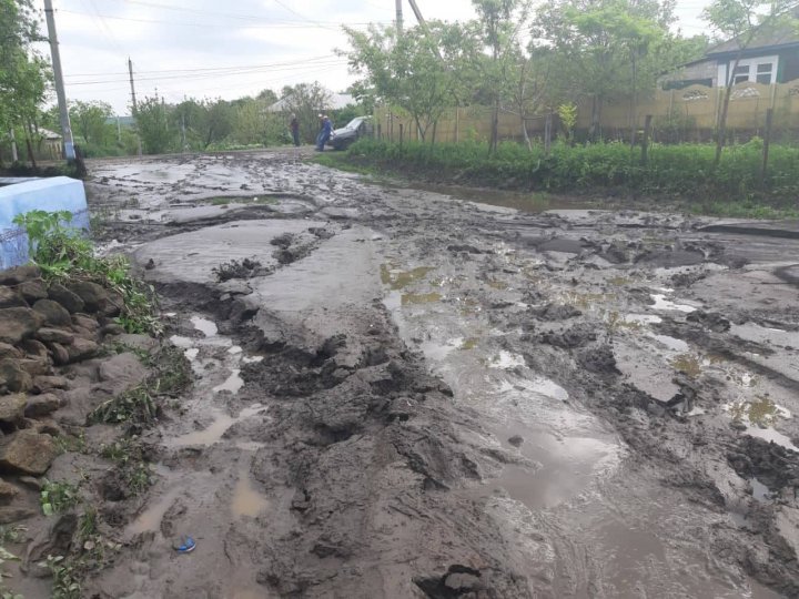 Crops ripped out and rescuers sought to pump water following weekend heavy rain (photo)