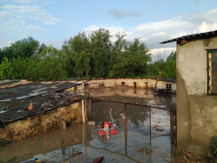 Crops ripped out and rescuers sought to pump water following weekend heavy rain (photo)