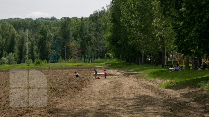 Beautiful landscapes. Vadul lui Voda - most green town from Moldova (PHOTO REPORT)