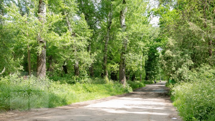 Beautiful landscapes. Vadul lui Voda - most green town from Moldova (PHOTO REPORT)