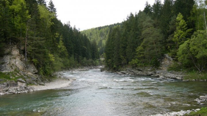 Hydrological warning of flood on Prut meadow