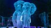 This circus in Germany uses holograms instead of animals! (PHOTOS)