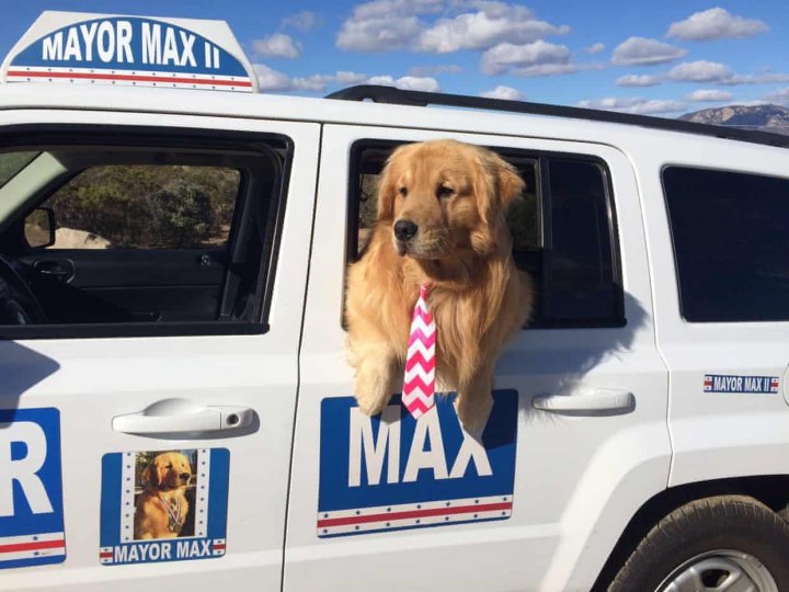 The Guardian: How a dog became mayor of a California town