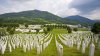 Dutch Supreme Court ruled on Friday that the Netherlands is partially responsible for the July 1995 deaths of 300 Muslims in Srebrenica