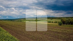 Weather forecast for the following days. In which parts of the country will rain