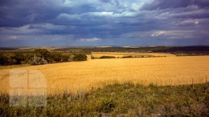 Weather forecast for July 22, 2019. It will rain today