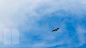 Weather forecast for July 10, 2019. How much degrees will show the thermometers today