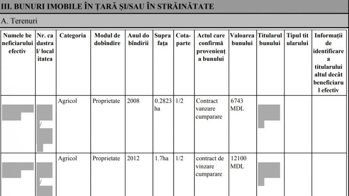Check the Justice Minister Olesea Stamate's Wealth Declaration 