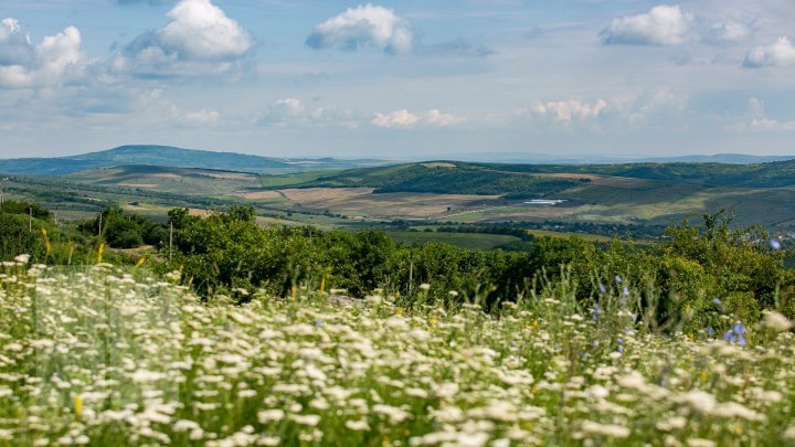 Weather forecast for the next few days in Moldova 