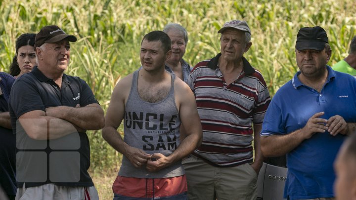 Anenii Noi locals rallied for bad roads linking Teliţa Nouă and Puhăceni (photo report)