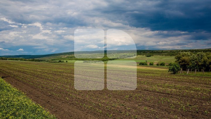 Weather forecast for the following days. In which parts of the country will rain