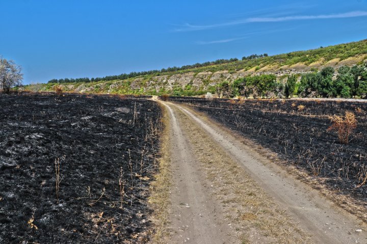 Fire burn around 40 ha of plantation near Old Orhei nature reserve (photo)