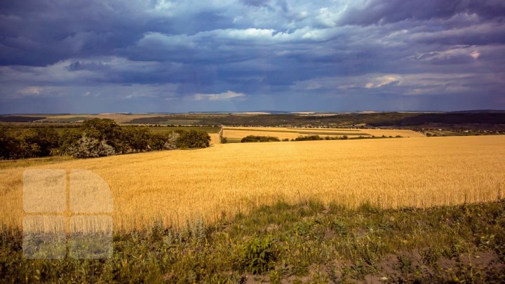 Weather forecast for August 8, 2019. Where will it rain 