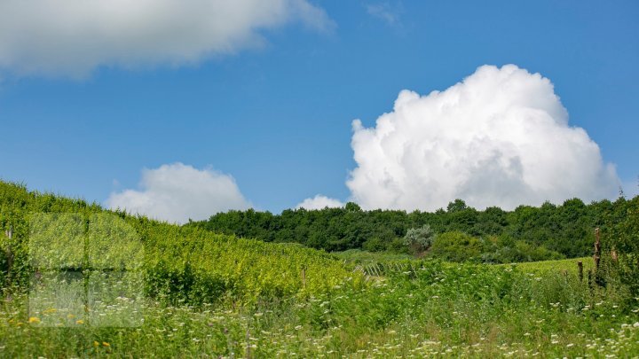 Weather forecast for the next few days in Moldova 