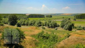 Weather forecast for the following days