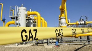 Police and Prosecutors raid Ungheni GAZ in fiscal evasion and money laundering file 