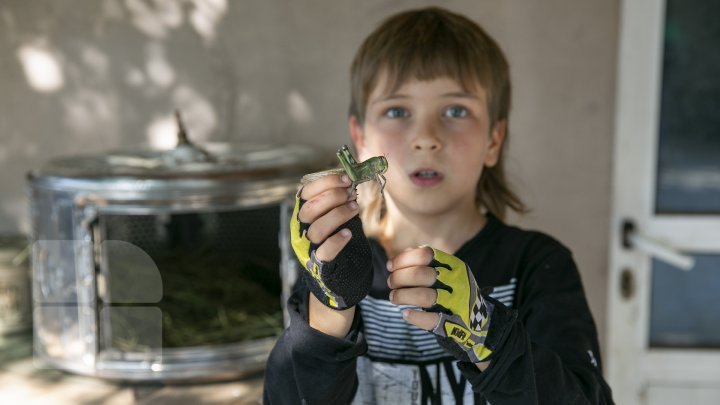 Meet the nine-year-old boy who raises snakes as his absorbing hobby (photo report)