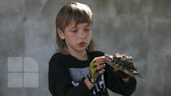 Meet the nine-year-old boy who raises snakes as his absorbing hobby (photo report)