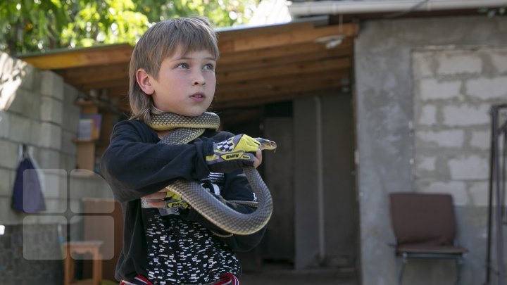 Meet the nine-year-old boy who raises snakes as his absorbing hobby (photo report)