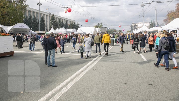 National Wine Day gathers thousands of Moldovan and foreign visitors (photo report)