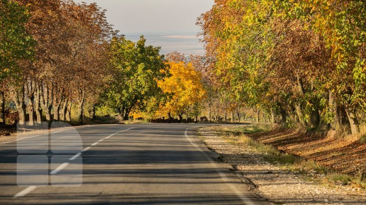 Warm weather expected for days to come 