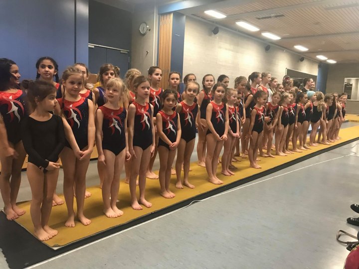 Moldovan seven-year-old girl won gold medal at a German gymnastics competition 