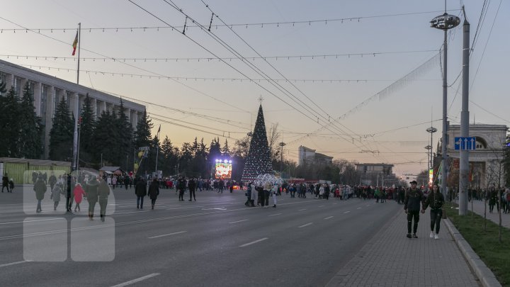 Moldova's main Christmas tree inaugurated in Chisinau (photos)