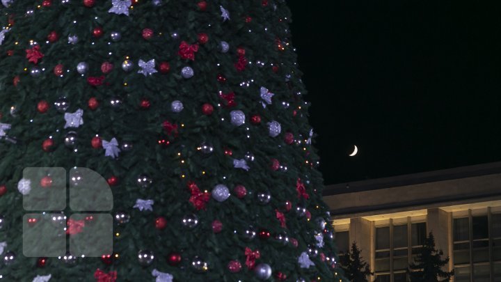 Moldova's main Christmas tree inaugurated in Chisinau (photos)