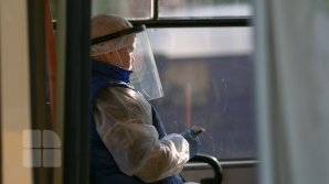 What should passengers know before entering public transports? (photo report)