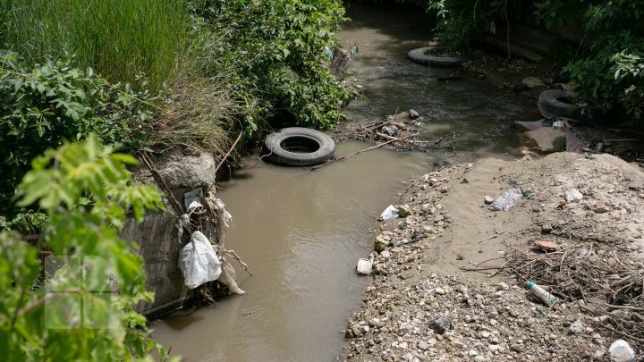 See how trash suffocating Chisinau (photo report)