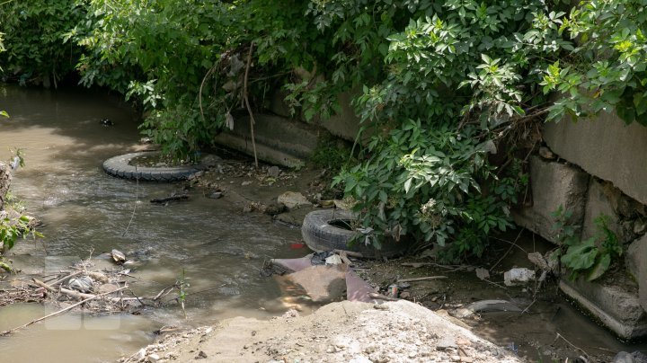 See how trash suffocating Chisinau (photo report)