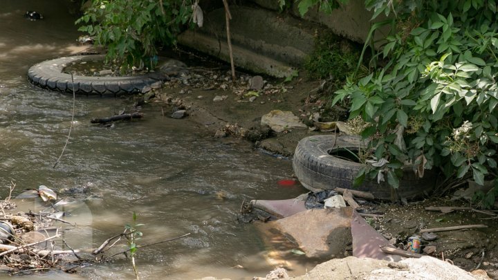 See how trash suffocating Chisinau (photo report)