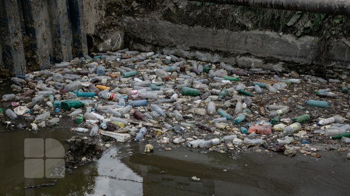 See how trash suffocating Chisinau (photo report)