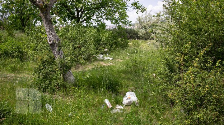 See how trash suffocating Chisinau (photo report)