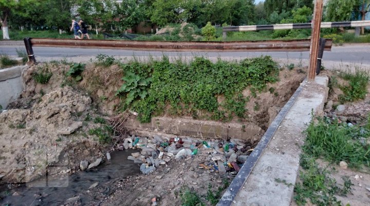 See how trash suffocating Chisinau (photo report)