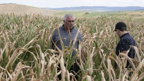 Moldovan farmers ask for Romanian Government's help to overcome extreme weather 