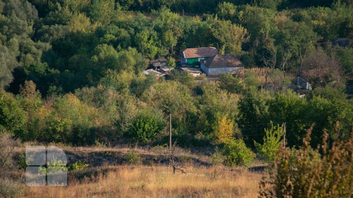 Fairytale landscapes in the northernmost part of Moldova. Naslancea, in August (FOTOREPORT)