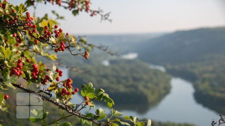 Fairytale landscapes in the northernmost part of Moldova. Naslancea, in August (FOTOREPORT)