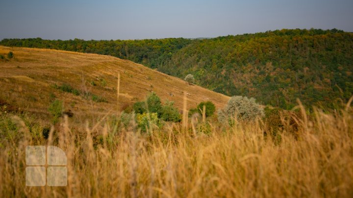 Fairytale landscapes in the northernmost part of Moldova. Naslancea, in August (FOTOREPORT)