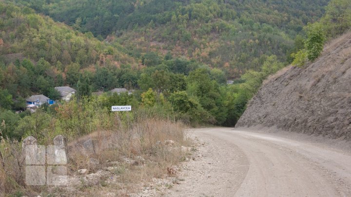 Fairytale landscapes in the northernmost part of Moldova. Naslancea, in August (FOTOREPORT)