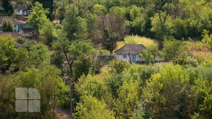 Fairytale landscapes in the northernmost part of Moldova. Naslancea, in August (FOTOREPORT)