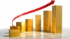 Preţurile mărfurilor şi serviciilor au crescut cu aproape 8% în luna mai 2010
