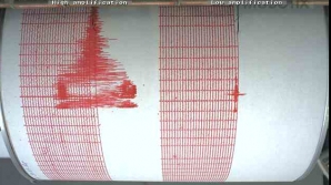 Un cutremur cu magnitudinea de cinci pe scara Richter s-a produs, miercuri, în sudul Canadei 