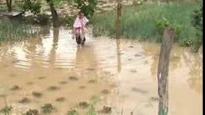 În urma grindinei căzute pe 1 iunie, au fost afectate 4000 de hectare de teren 