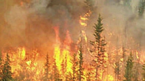 Un incendiu de proporţii a izbucnit sâmbătă în apropiere de Atena 