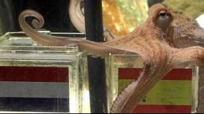 Un oraş spaniol i-a lansat o invitaţie faimosului Paul la un Festival al caracatiţelor 