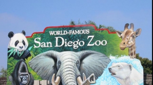 O grădină ZOO din San Francisco şi geneticienii din California vor să recreeze animale dispărute 