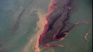 Mai multe pete de petrol au fost detectate în Marea Neagră cu ajutorul satelitului 