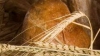 Guvernul vrea să blocheze scumpirea pâinii, prin distribuirea de grâu din rezerva de stat către producători