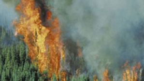 Incendiile au reizbucnit în Rusia, iar autorităţile au instituit stare de urgenţă în mai multe regiuni